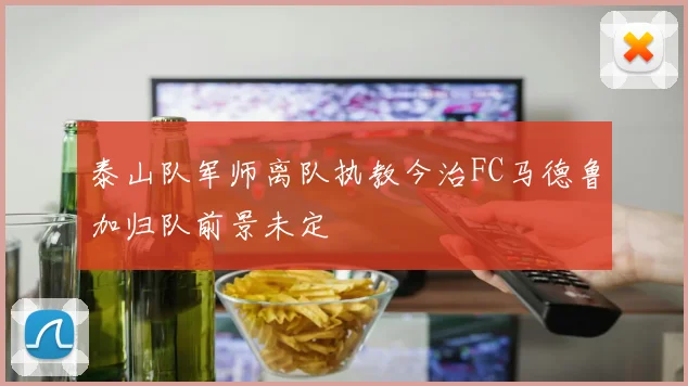 泰山队军师离队执教今治FC马德鲁加归队前景未定