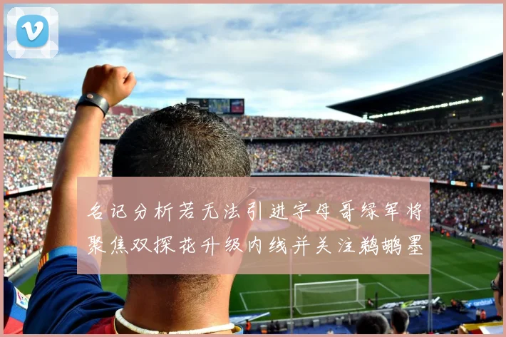 名记分析若无法引进字母哥绿军将聚焦双探花升级内线并关注鹈鹕墨菲
