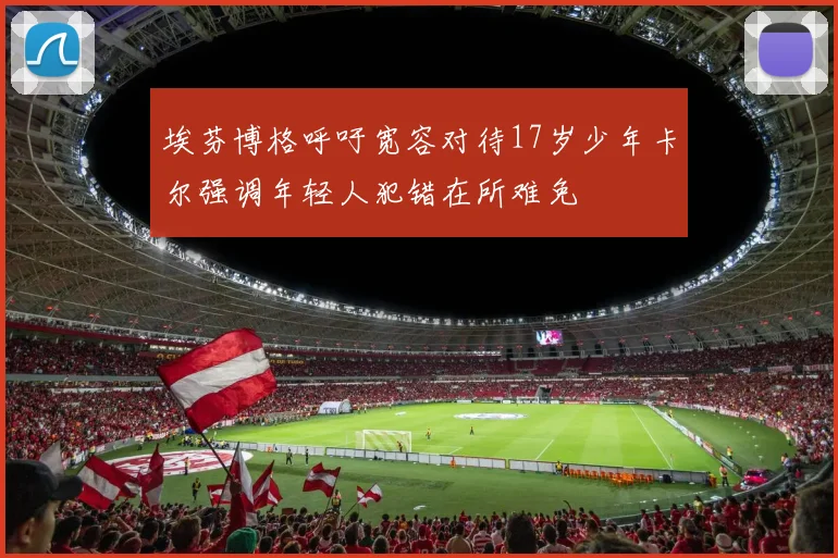 埃芬博格呼吁宽容对待17岁少年卡尔强调年轻人犯错在所难免