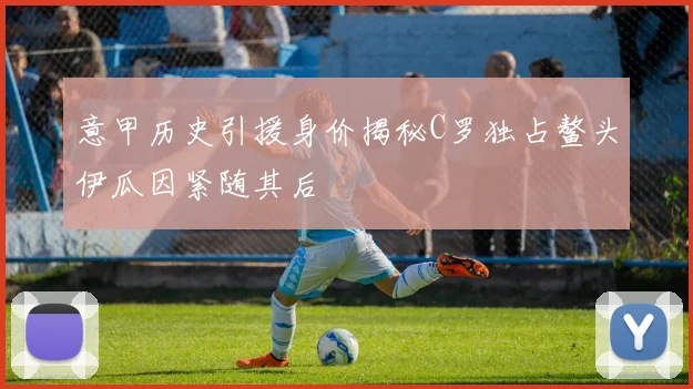 意甲历史引援身价揭秘C罗独占鳌头伊瓜因紧随其后